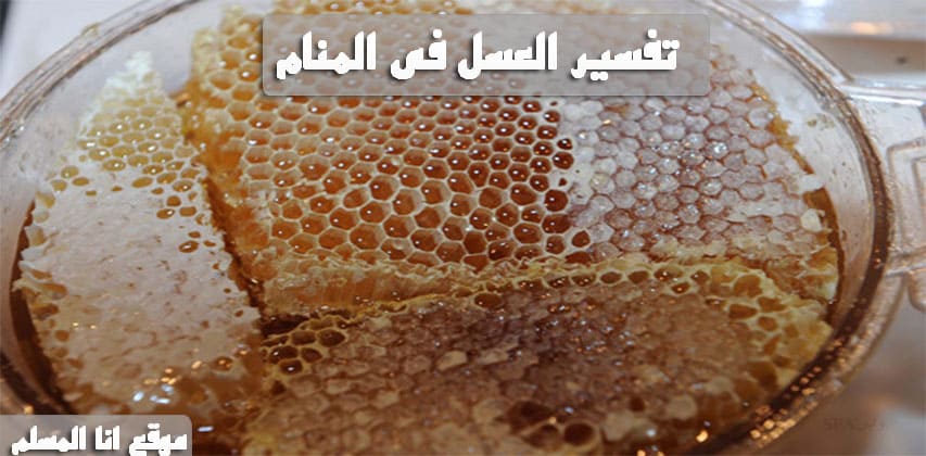 العسل في المنام